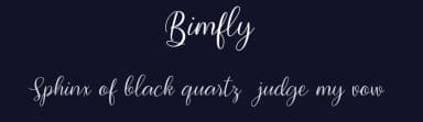 Bimfly by pointlab studio — Script Handwritten Font — thumbnail 2