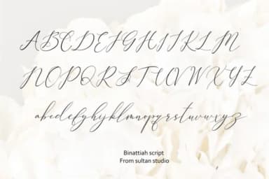 Binattiah Font by Sulthan Studio — Script Handwritten Font — thumbnail 3