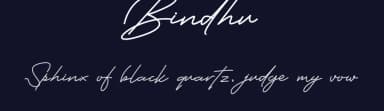 Bindhu by Inermedia Studio — Script Handwritten Font — thumbnail 2