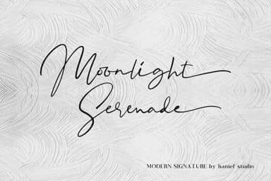 Binetta Signature Font by Hanzel Studio — Script Handwritten Font — thumbnail 7