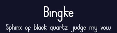Bingke by Nariswari Creative — Sans Serif Font — thumbnail 2