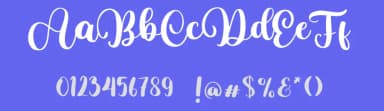 Bingo Butterfly by Bearytype — Script Handwritten Font — thumbnail 3