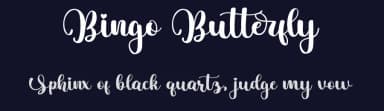 Bingo Butterfly by Bearytype — Script Handwritten Font — thumbnail 2