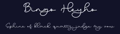 Bingo Heyho by Bearytype — Script Handwritten Font — thumbnail 2
