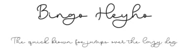 Bingo Heyho by Bearytype — Script Handwritten Font — thumbnail 1