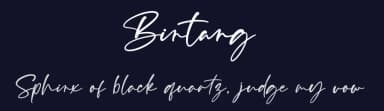Bintang by Pen Culture — Script Handwritten Font — thumbnail 2