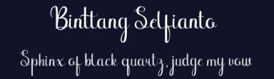 Binttang Selfianto by StringLabs Creative Studio — Script Handwritten Font — thumbnail 2