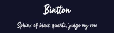 Bintton by Weape Studio — Script Handwritten Font — thumbnail 2
