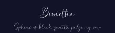 Bionetha by Almarkhatype — Script Handwritten Font — thumbnail 2