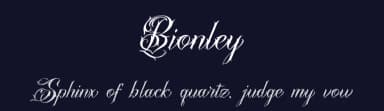 Bionley by Denustudios — Script Handwritten Font — thumbnail 2
