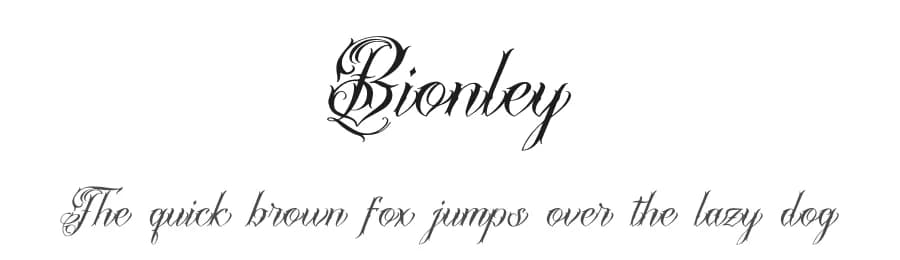 Bionley by Denustudios — Script Handwritten Font — preview 1