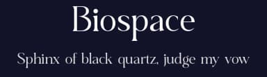 Biospace by Font Kingdom — Serif Font — thumbnail 2