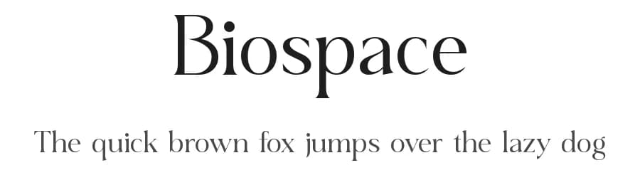 Biospace by Font Kingdom — Serif Font