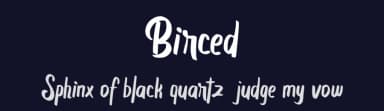 Birced by Vunira Design — Script Handwritten Font — thumbnail 2