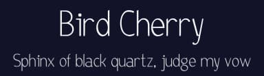 Bird Cherry by Denis Sherbak — Sans Serif Font — thumbnail 2