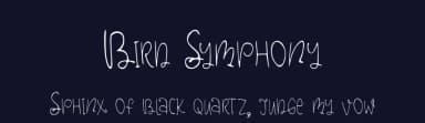 Bird Symphony by Supersemar Letter — Script Handwritten Font — thumbnail 2