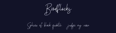 Birdflocks by Maulana Creative — Script Handwritten Font — thumbnail 2