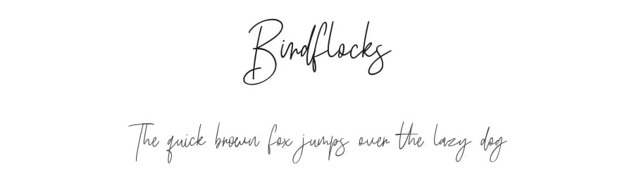 Birdflocks by Maulana Creative — Script Handwritten Font