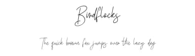 Birdflocks by Maulana Creative — Script Handwritten Font — thumbnail 1
