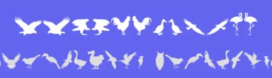 Birds of a Feather by Iconian Fonts — Dingbats Font — thumbnail 3