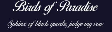 Birds of Paradise by Herofonts — Script Handwritten Font — thumbnail 2