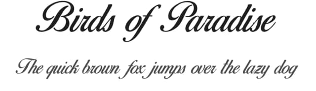 Birds of Paradise by Herofonts — Script Handwritten Font