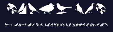 Birds TFB by zanatlija — Dingbats Font — thumbnail 2