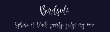 Birdside by Balpirick Studio — Script Handwritten Font — thumbnail 2