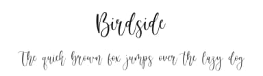 Birdside by Balpirick Studio — Script Handwritten Font — thumbnail 1