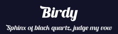Birdy by Omotu Studio — Sans Serif Font — thumbnail 2