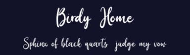 Birdy Home by ReyreyBlue — Script Handwritten Font — thumbnail 2