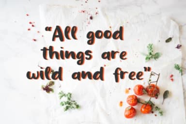 Bis Spater Font by Studio_Art — Script Handwritten Font — thumbnail 5