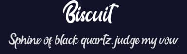 Biscuit by Haksen Studio — Script Handwritten Font — thumbnail 2