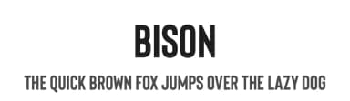 Bison by Ellen Luff — Sans Serif Font — thumbnail 1