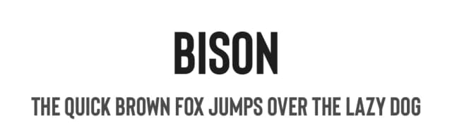 Bison by Ellen Luff — Sans Serif Font