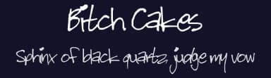 Bitch Cakes by Peter Stanton — Script Handwritten Font — thumbnail 2