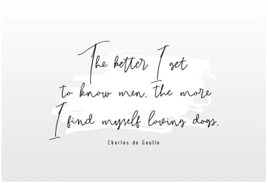 Bitlamero Script Font by Ijem RockArt — Script Handwritten Font — thumbnail 4