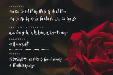 Bitter Rose Font by saridezra — Script Handwritten Font — thumbnail 9