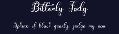 Bitterly Fody by Design Vector10 — Script Handwritten Font — thumbnail 2