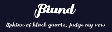 Biund by twinletter — Script Handwritten Font — thumbnail 2