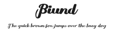 Biund by twinletter — Script Handwritten Font — thumbnail 1