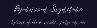 Bjornsson Signature by Brittney Murphy Design — Script Handwritten Font — thumbnail 2