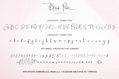 Black Pink Family Font by thomasaradea — Script Handwritten Font — thumbnail 6