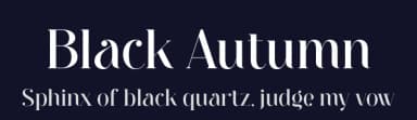Black Autumn by BrandSemut — Serif Font — thumbnail 2