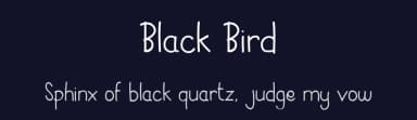 Black Bird by Owlking Project — Script Handwritten Font — thumbnail 2