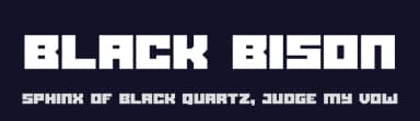 Black Bison by Linecreative — Sans Serif Font — thumbnail 2