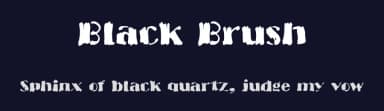 Black Brush by Martin Steiner — Script Handwritten Font — thumbnail 2
