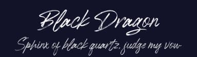 Black Dragon by Mega Type — Script Handwritten Font — thumbnail 2