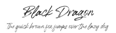 Black Dragon by Mega Type — Script Handwritten Font — thumbnail 1