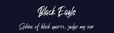 Black Eagle by Creativework69 Studio — Script Handwritten Font — thumbnail 2